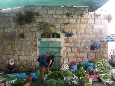 Liberation Is Not Integration: On liberal Zionism, one-state fantasies, and what Palestinians actually want