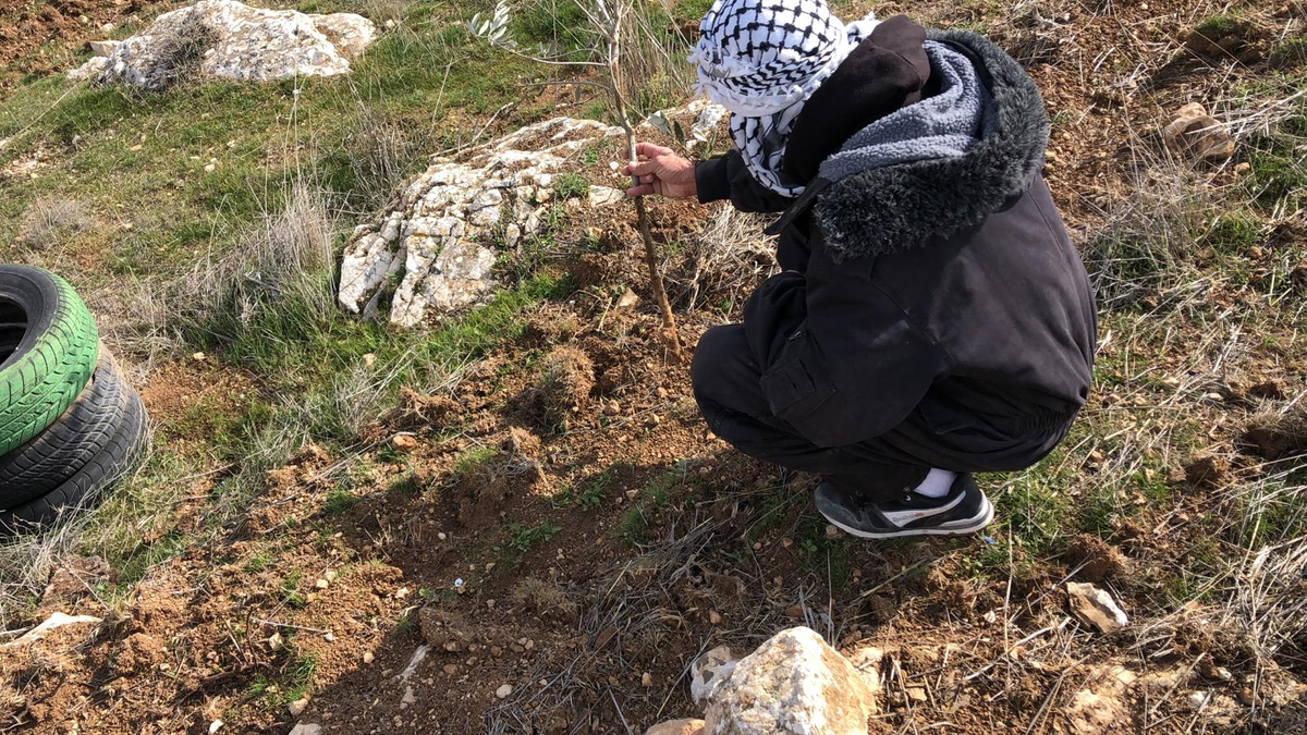 Settlers Uproot GSC Trees in Atuwani