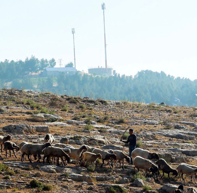 Protective Presence and the Machinery of Control