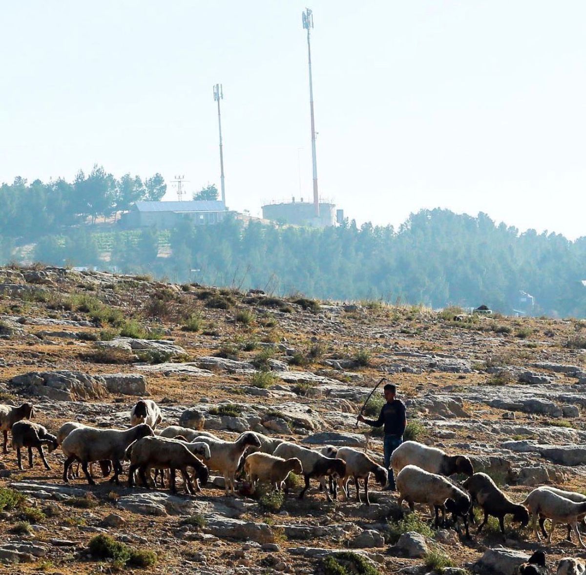 Protective Presence and the Machinery of Control