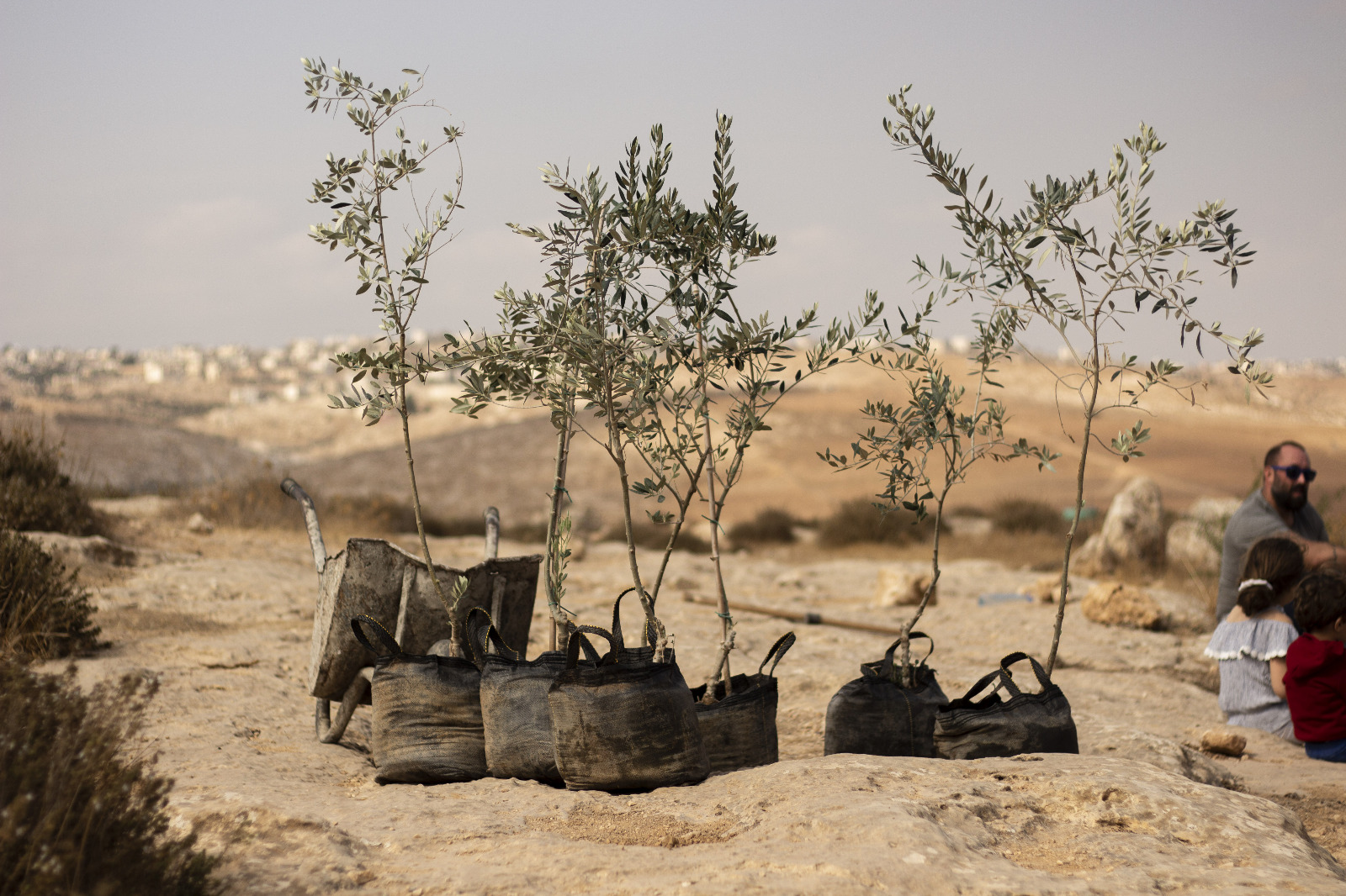 Stopping settlement encroachment in South Hebron Hills