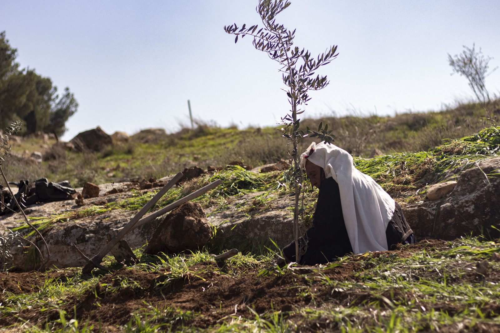 Learning Life in South Hebron